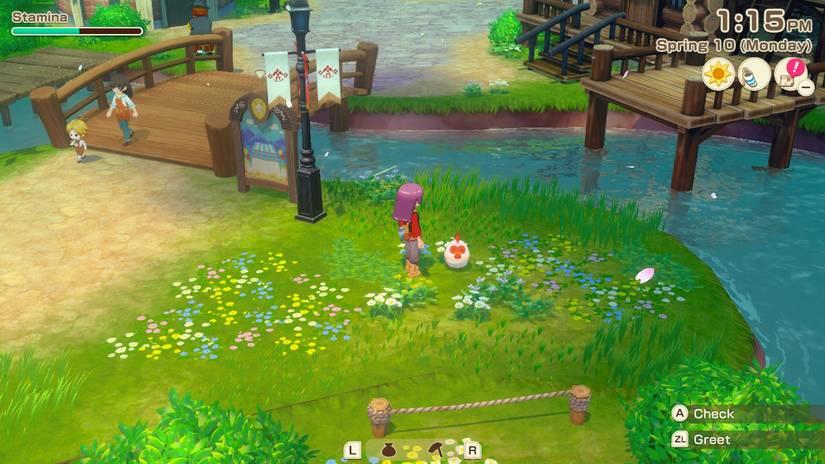 This image shows the player character standing in a grassy area, next to a chicken. Beside them is a lake house and a bridge.Image from Story of Seasons Grand Bazaar.