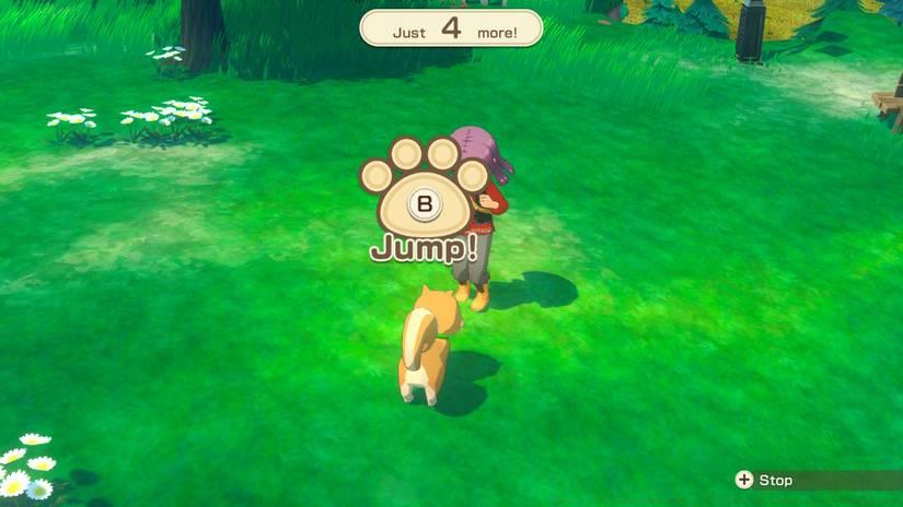 Image from Story of Seasons: Grand Bazaar. It shows the player character interacting with a dog, with a paw print and the B button inside. Jump! says the wording underneath the paw.