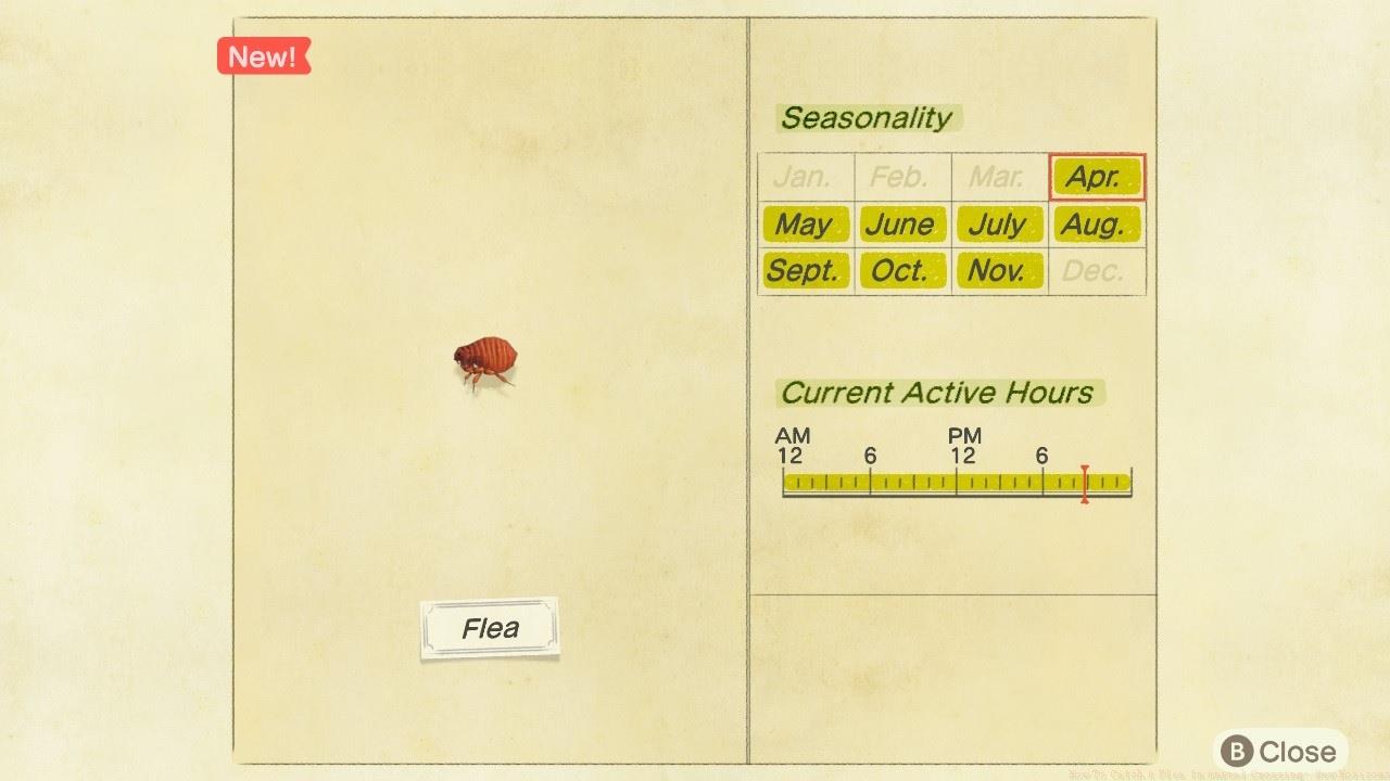 A flea in Animal Crossing: New Horizons.