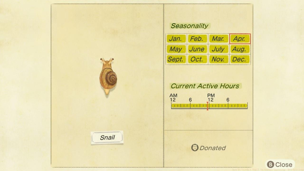 Snails are available at all times of the year and at all hours of the day.