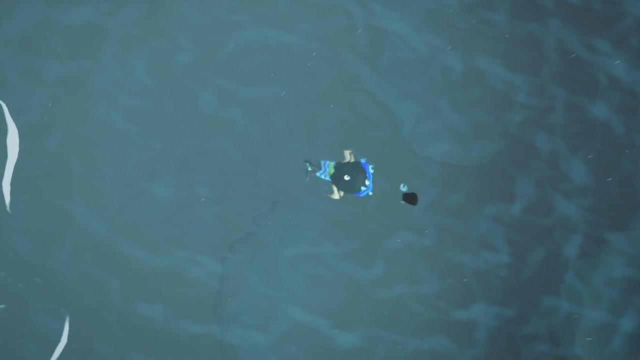 Diving and chasing a shadow under the water.