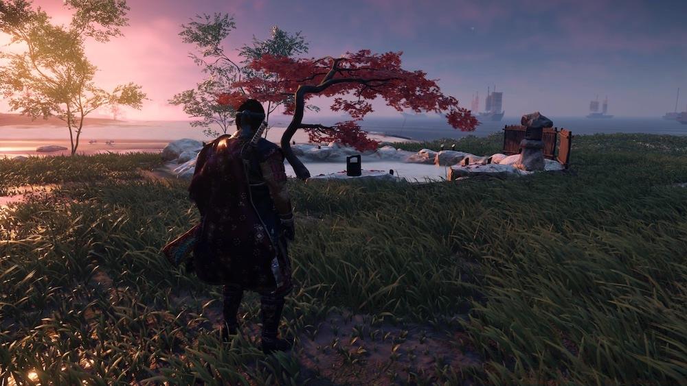 Mountain View Hot Springs landscape