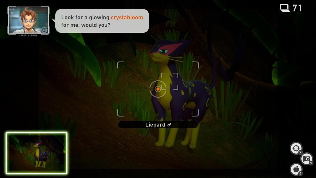 Pokemon exhibit unique behaviors at night.