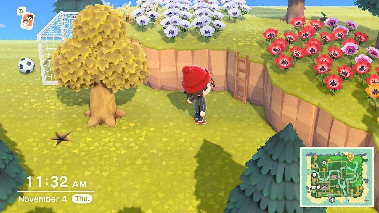 A ladder placed against a cliffside in New Horizons