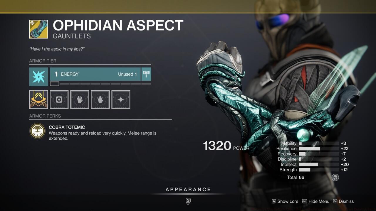 If your build doesn't call for a different Exotic, Ophidian Aspect is a good fallback for Warlocks in any situation.