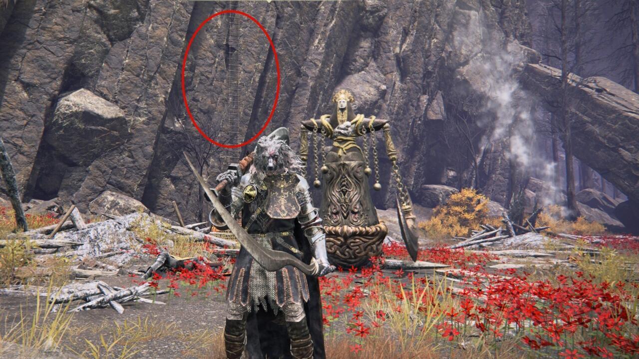 This ladder is easy to miss, but is your only path up Mt. Gelmir if you don't teleport to Volcano Manor.