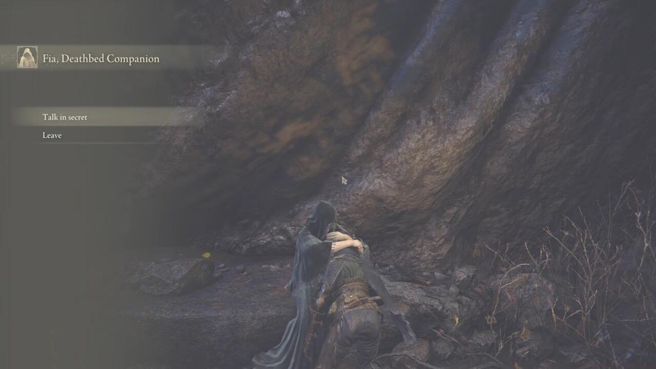 Advancing Fia's quest always requires a hug. Just make sure to use the Baldachin's Blessing immediately afterward.