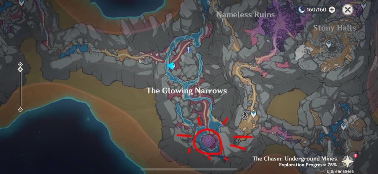 Mushroom Xamaran's location