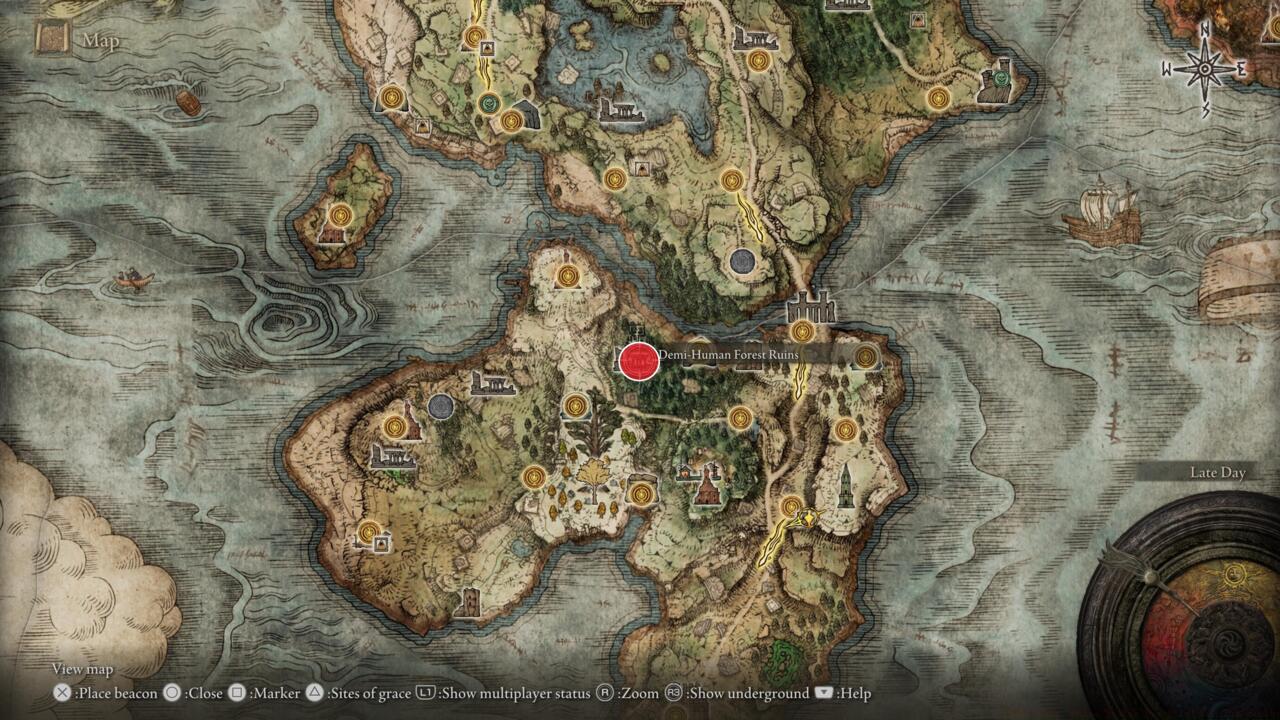 Demi-Human Forest Ruins