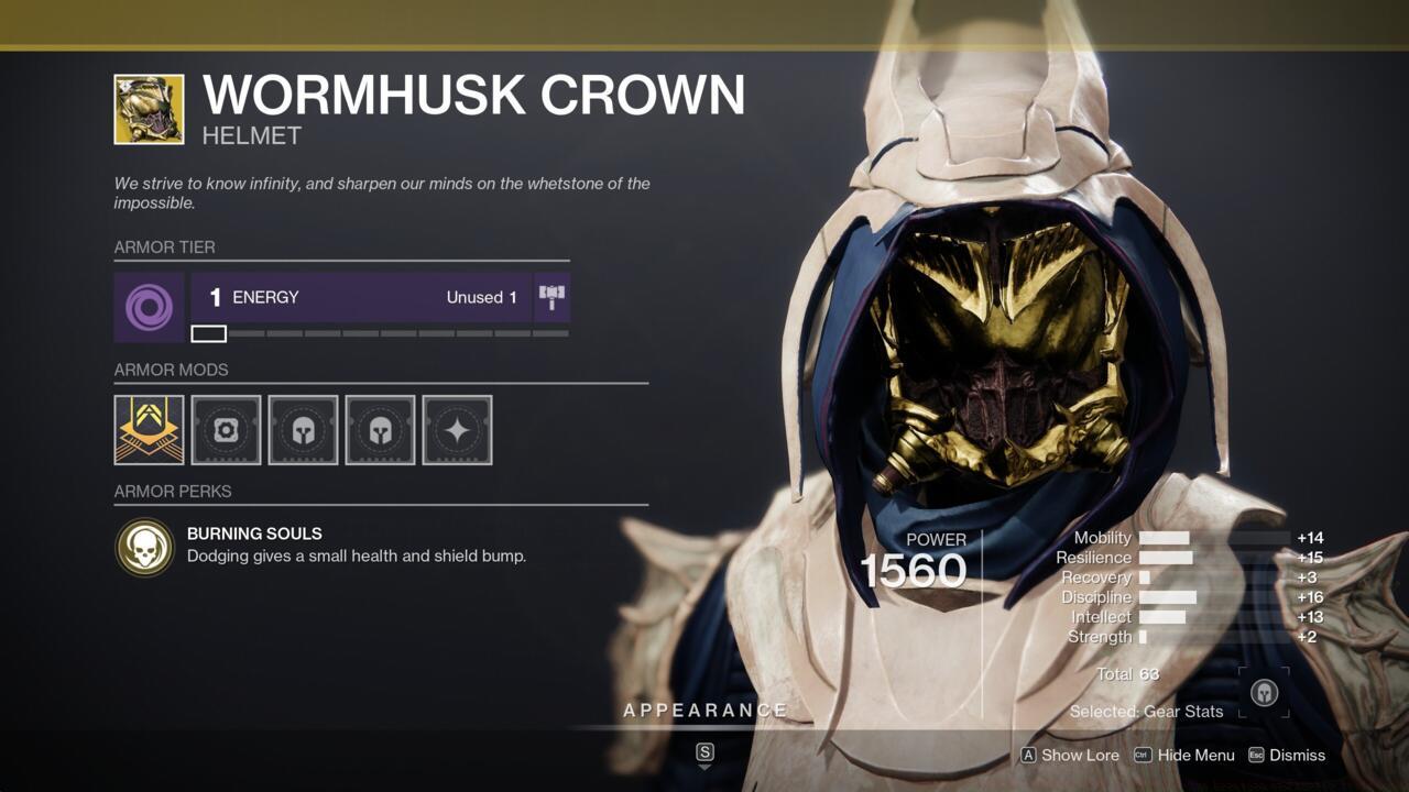 Wormhusk Crown is one of the most useful Hunter Exotics, especially when you spec out for high Mobility.
