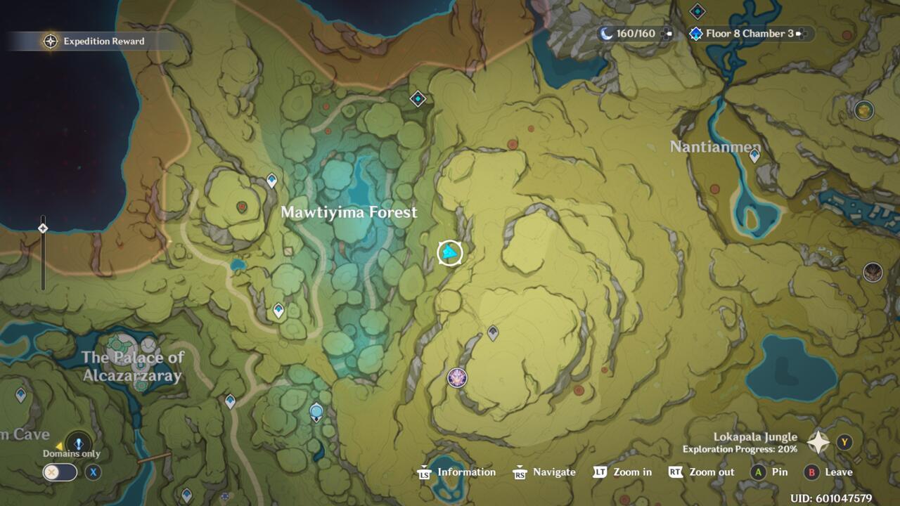 The Electro Regisvine's cave entrance