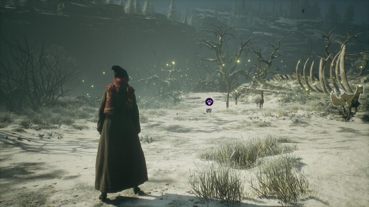 You'll need to look for a male and female Thestral in their den.