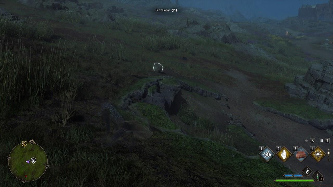 Use the creature respawn trick to have a better shot at making a Shiny appear.