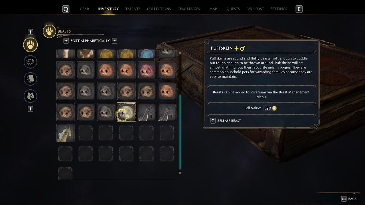 Shiny Beasts have a vastly different color and they also have a star icon to denote their rarity.