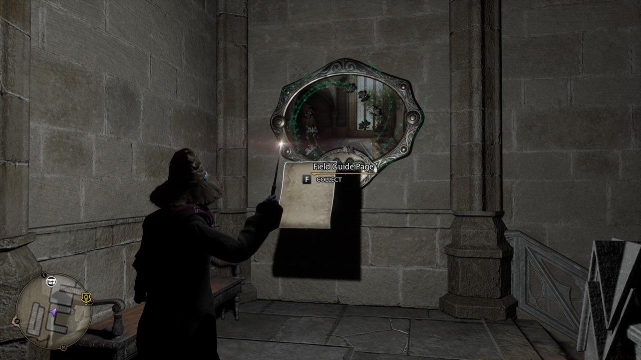 Completing a Moth Mirror Puzzle grants a Field Guide Page.