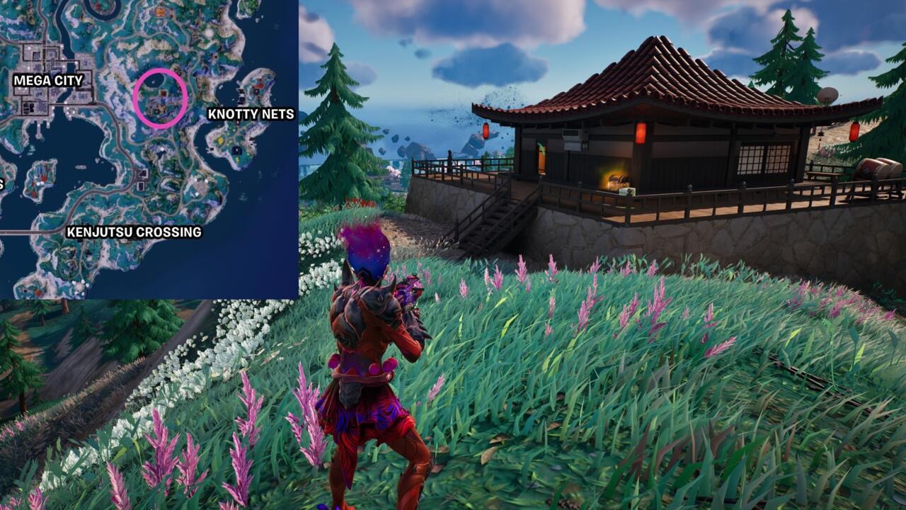 2. The two medium-sized buildings at the top of the mountains east of Mega City