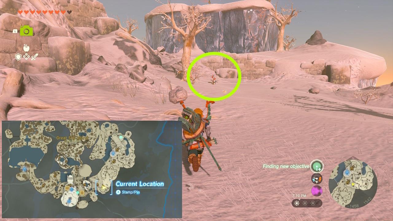 The Purah Pad's Sensor will tell you if you're close to Spicy Pepper nodes.