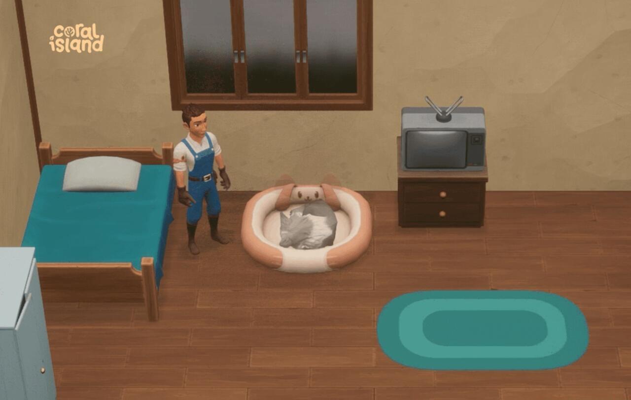 This pupper is enjoying a nice nap on their pet bed.