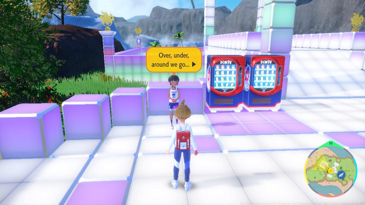 The Galarian Slowpoke evolution items can only be obtained from this NPC in the Coastal Plaza.