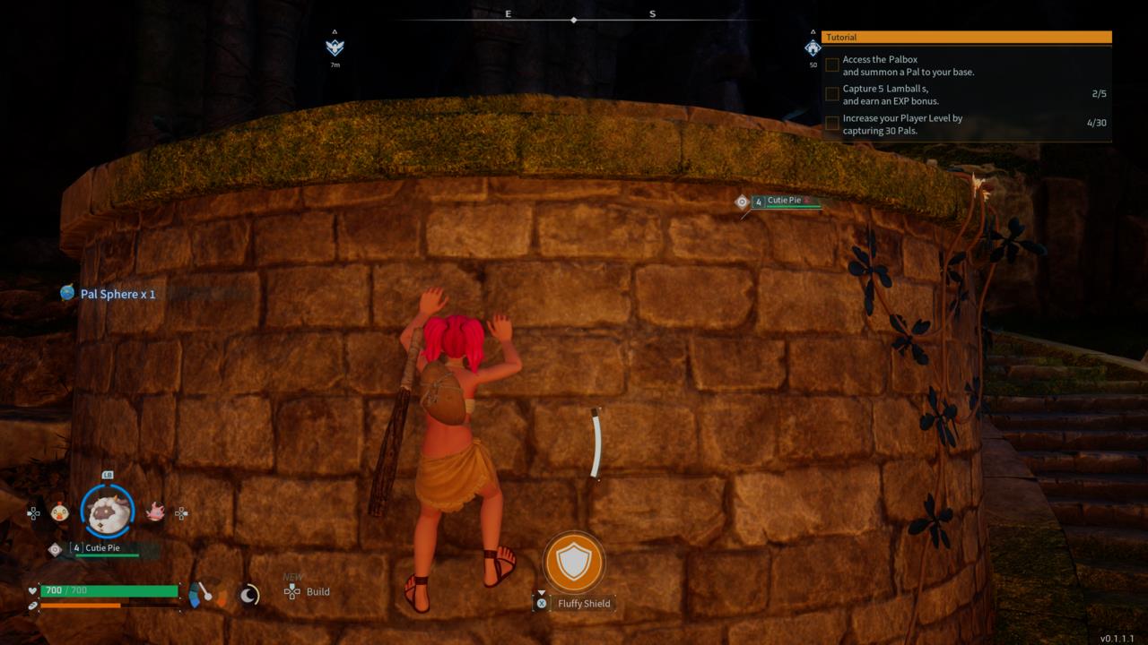 You can climb anything like in Breath of the Wild