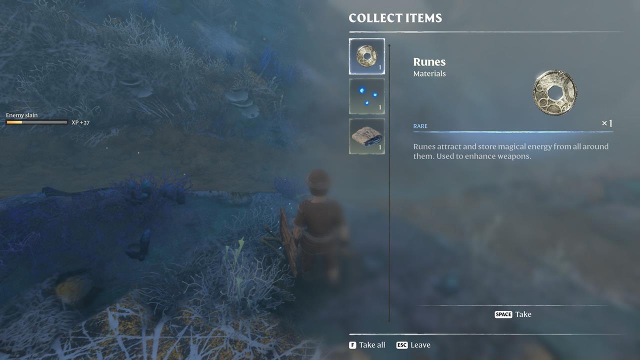 Enemies you slay tend to drop Runes.