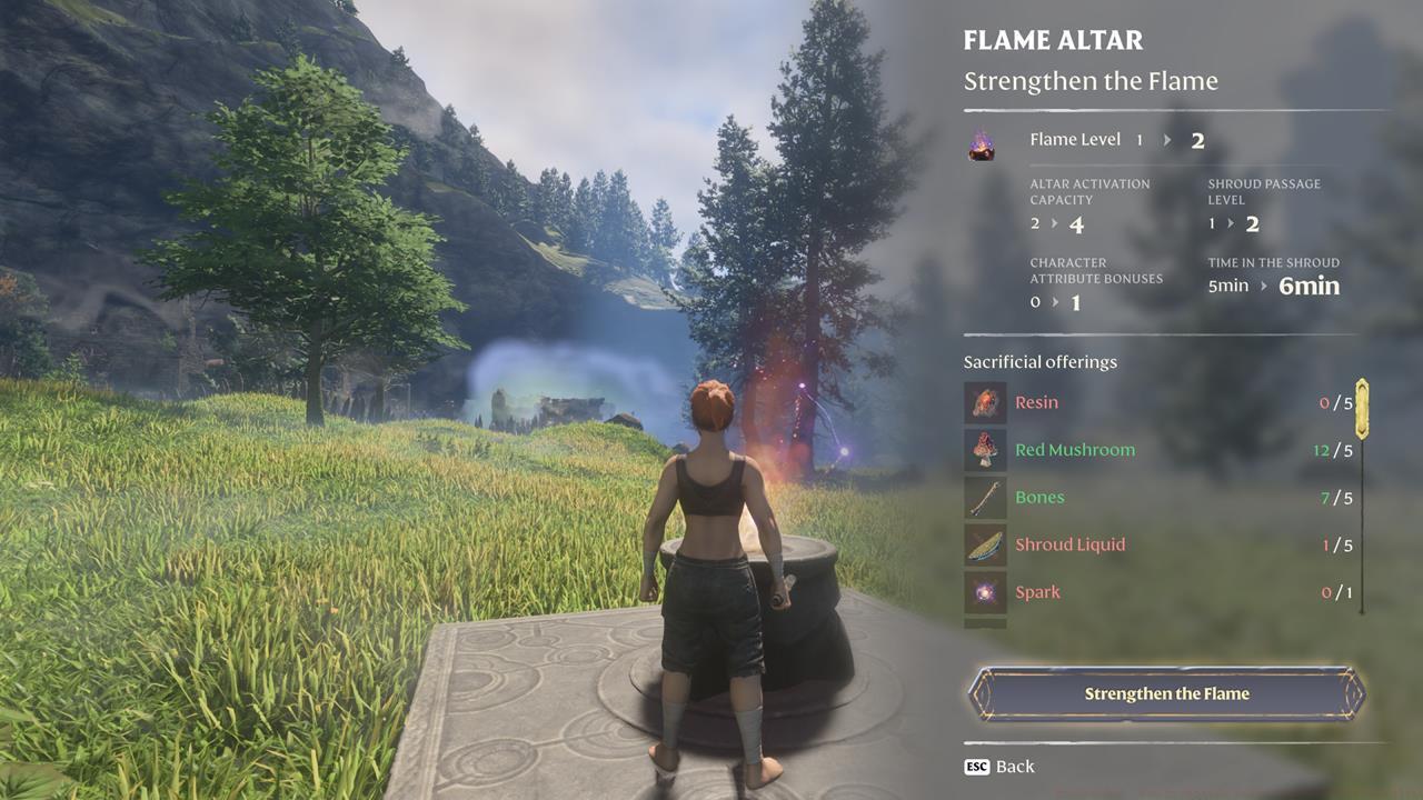 The materials that are needed as offerings.