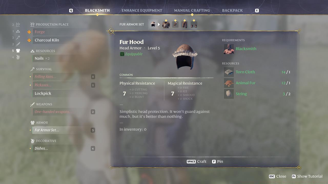 The Fur Armor Set is pretty decent early in the campaign.