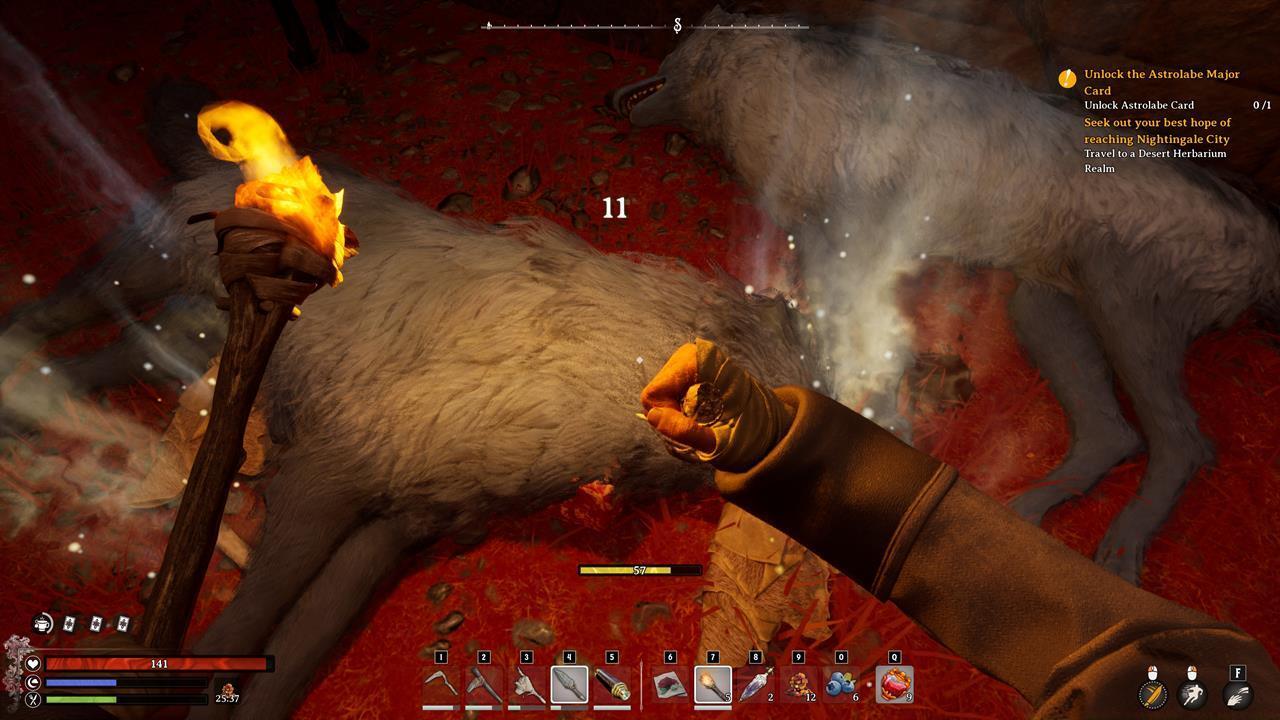 Use the Hunting Knife to obtain resources.