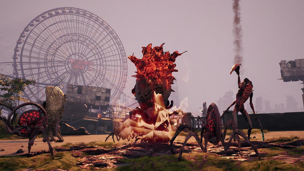 Eidos 9 objectives: Cocoons