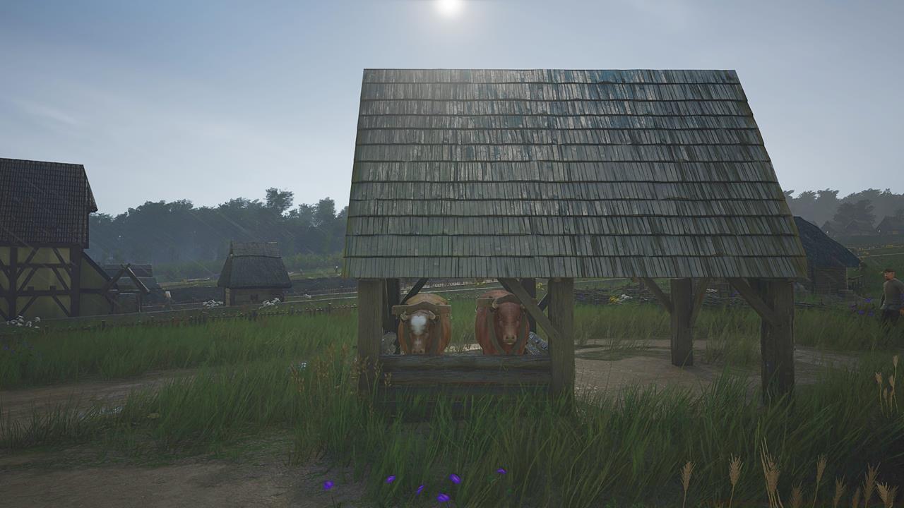 Make use of oxen and storage for logistics