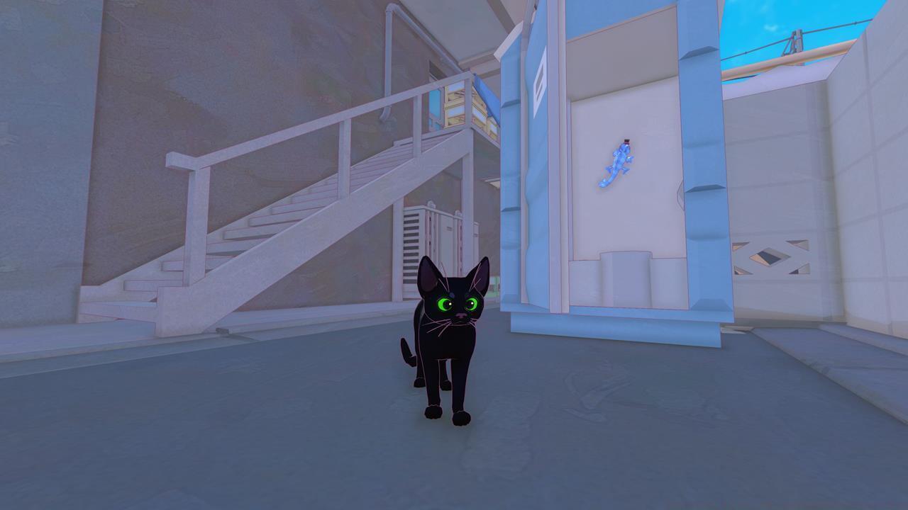 Chameleon location 2: Portalet