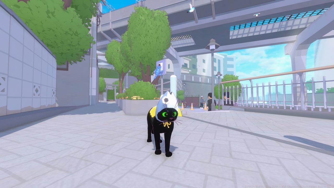 Chameleon location 8: Pier