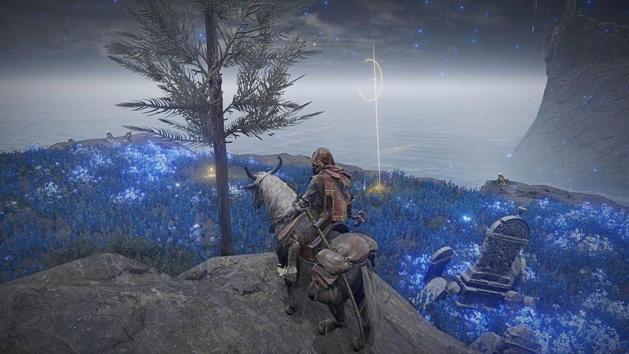 Follow the crosses left behind by Miquella