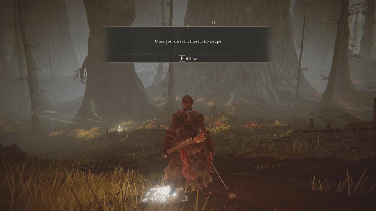 The madness in the Abyssal Woods