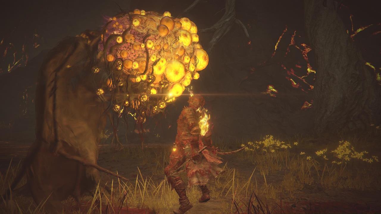 Where should you go in Abyssal Woods?