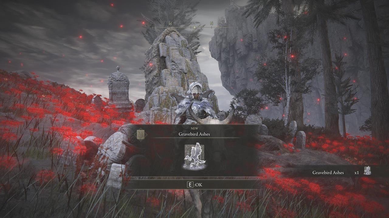 Bonus: Gravebird Ashes location