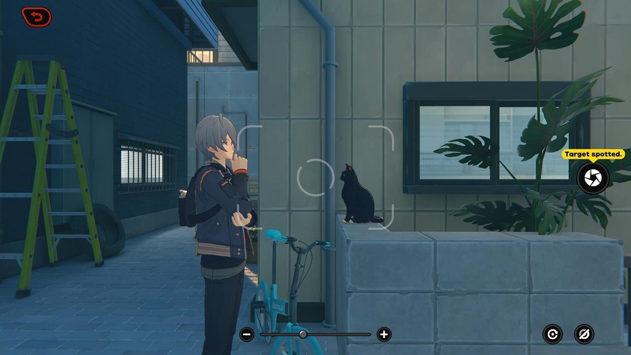 Taking a picture of a cat and unlocking events