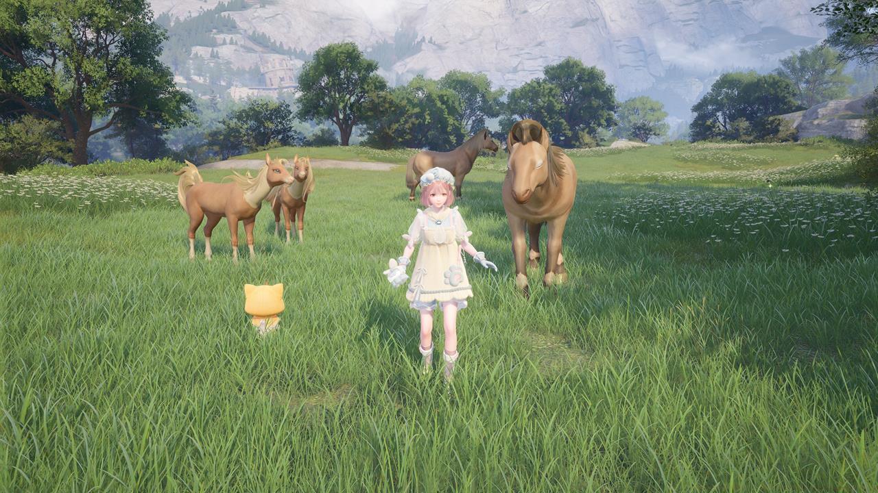 How to groom animals and other pets