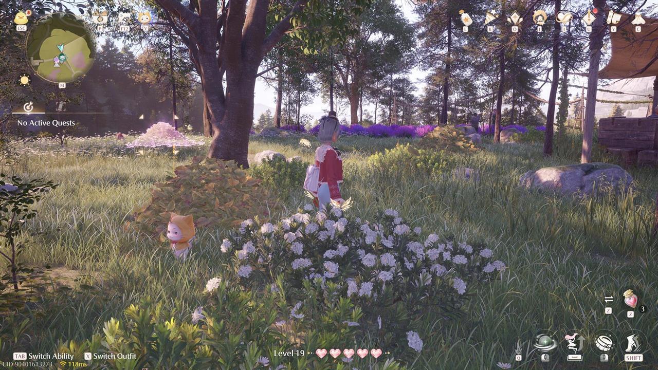 Stoneville Whimstar #12