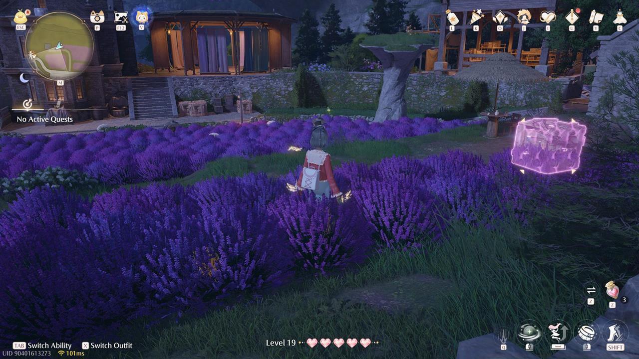 Stoneville Whimstar #16