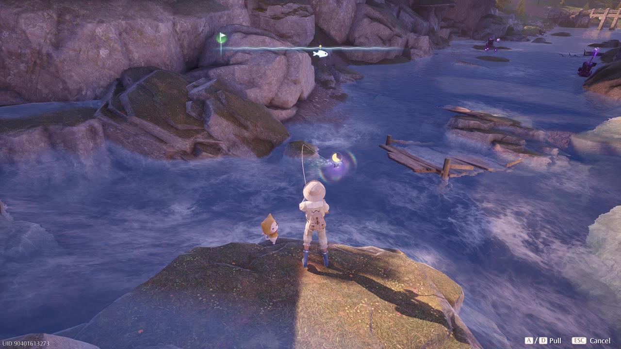 Stoneville Whimstar #25