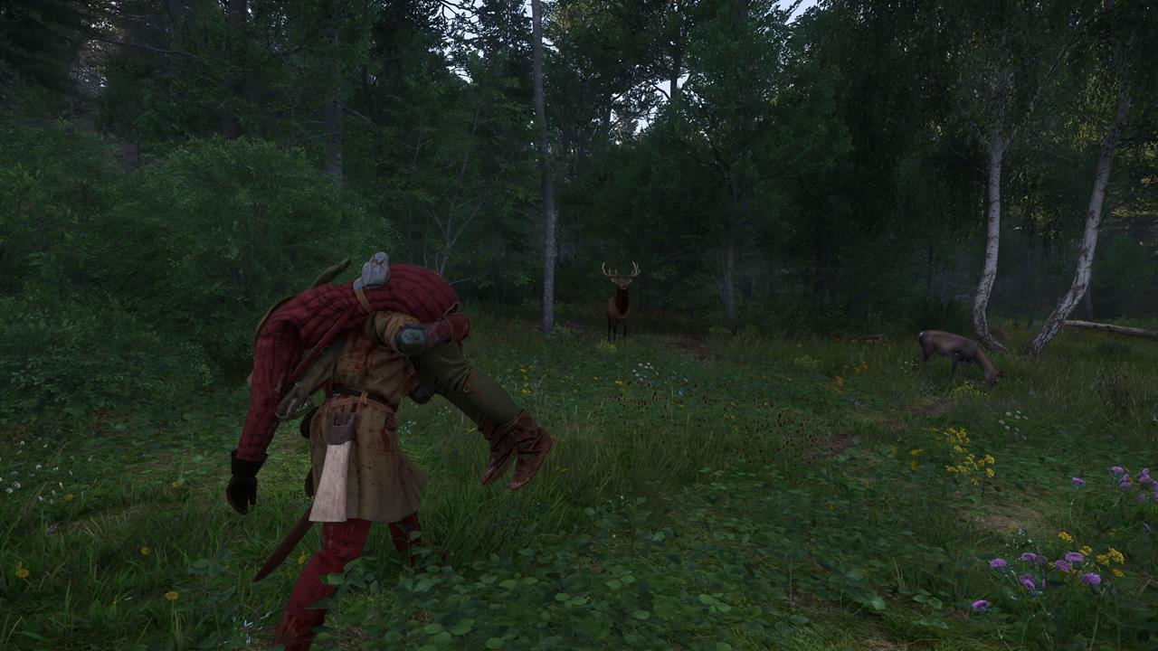 Lackey: Carrying Vostatek around