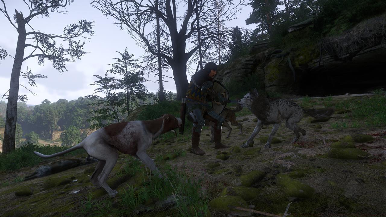 Mutt: The wolves' den