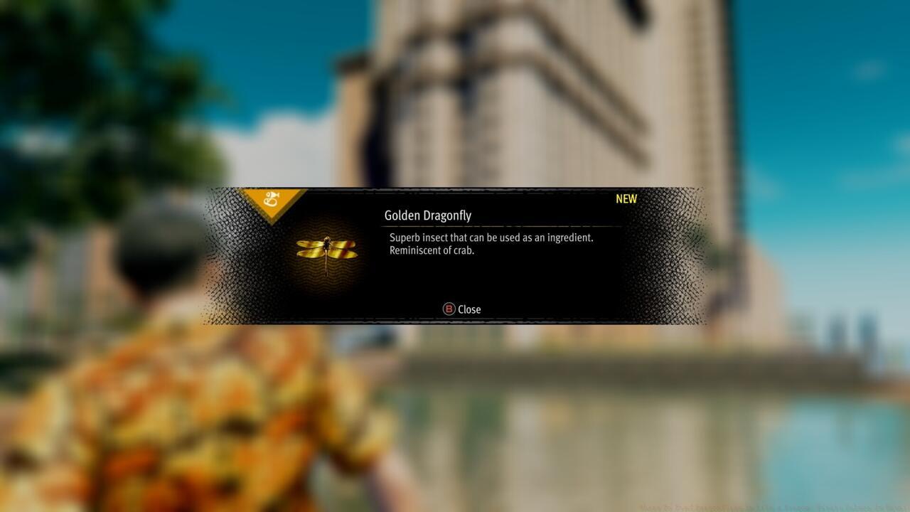 It might take a minute to find a golden dragonfly, so be patient.