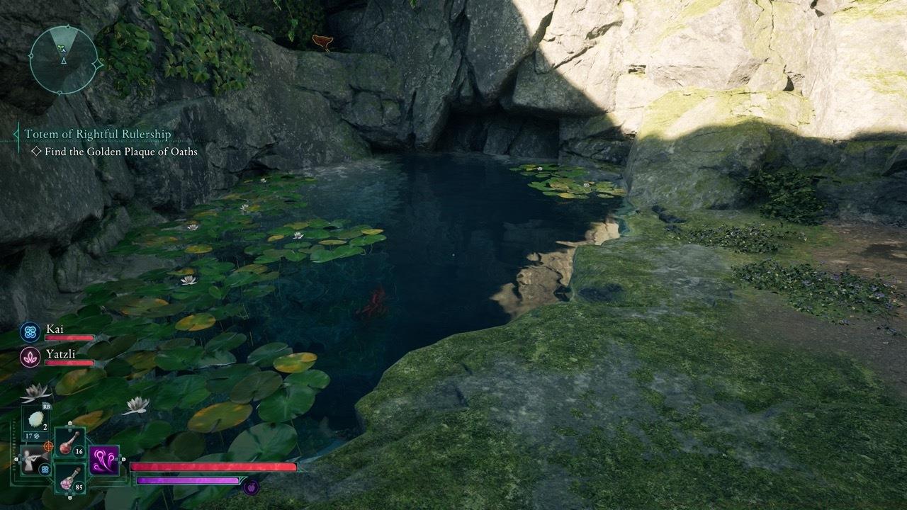 Dive into the water and swim towards the small grate.