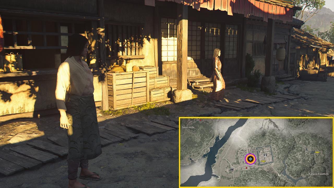 How to start The Butterfly Collector quest?