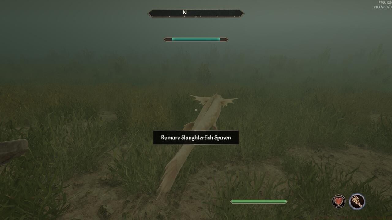 How to collect Rumare Slaughterfish Scales