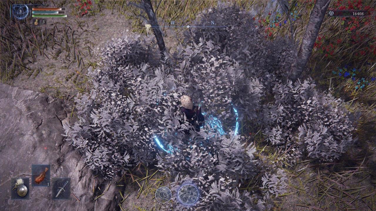 The most common crest type is under a shrub or in the tower's small pond.