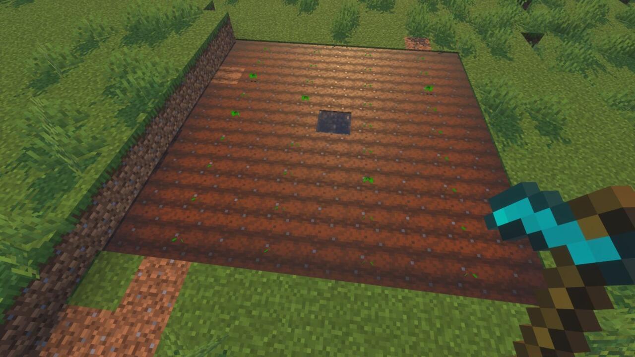 9x9 farmland example with one water block in the center