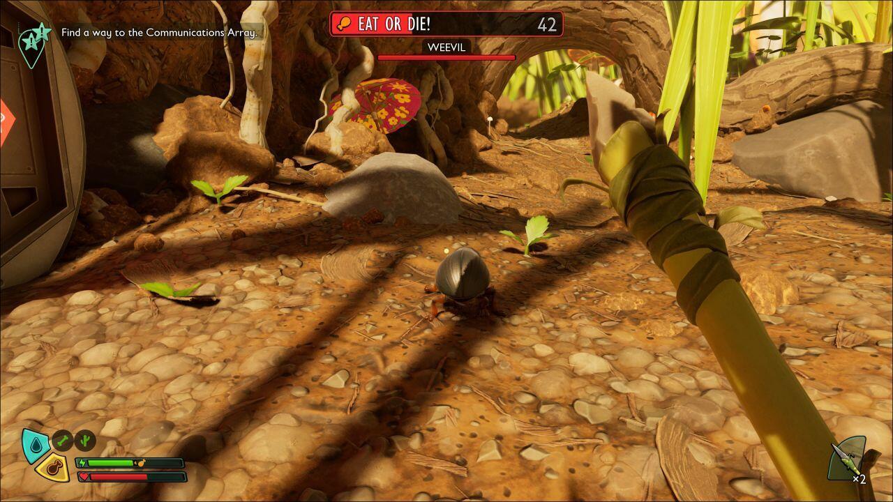 Early food and water resources